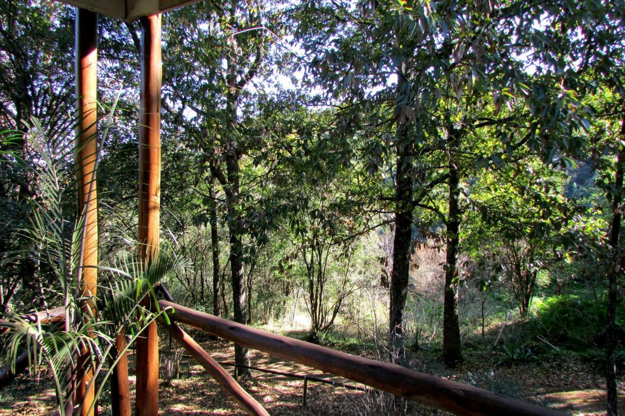 Old Pine Cabin Karkloof Yarrow Kültér fotó